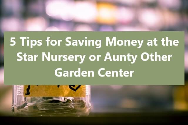5 Tips for Saving Money at the Star Nursery