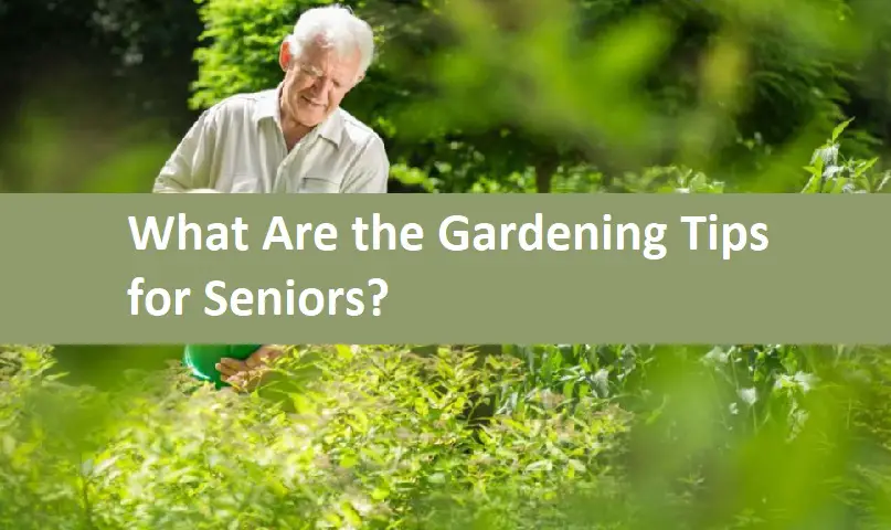 What Are the Gardening Tips for Seniors?