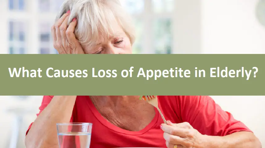 What Causes Loss of Appetite in Elderly?
