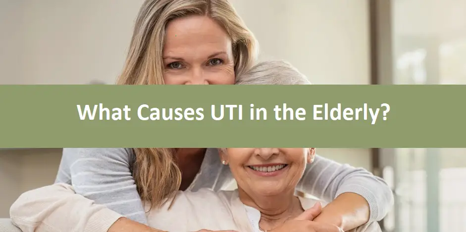 What Causes UTI in the Elderly?
